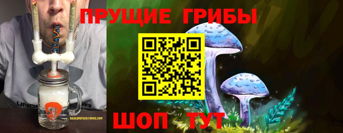 Людиново  Галлюциногенные грибы Magic Shrooms  Вход с VPN  Псилоцибиновые грибы ЛСД 